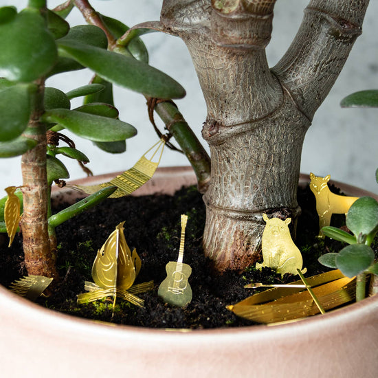 mini-camping-pour-tes-plantes vue 5