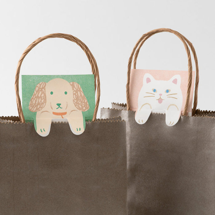 memo-secret-stretchy-chien-raton-laveur vue 9
