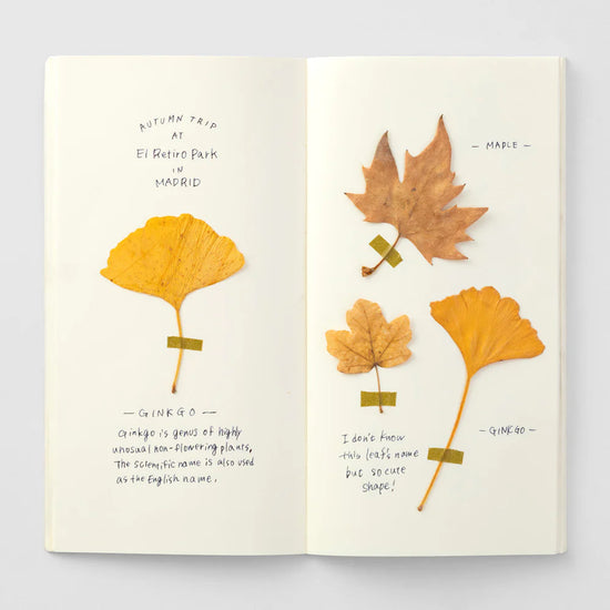 recharge-025-carnet-papier-creme vue 3
