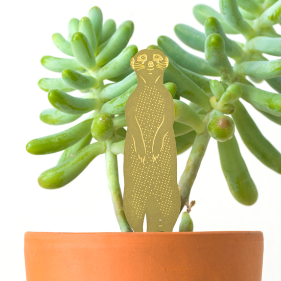 decoration-plant-animal-suricate-terrarium-et-marqueur-vegetal vue 4