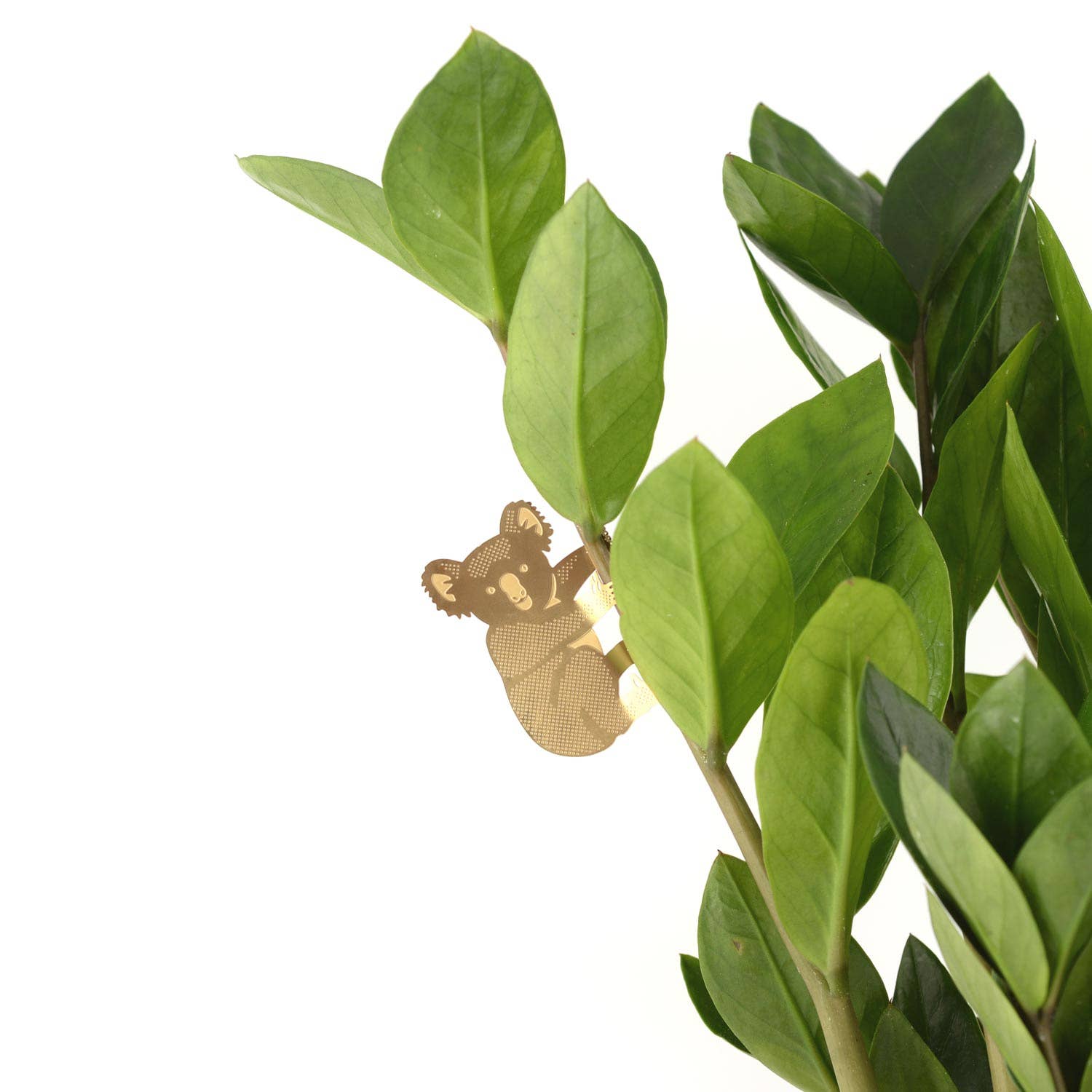 animal-vegetal-ours-koala-decoration-dun-calin-en-forme-de-plante vue 4