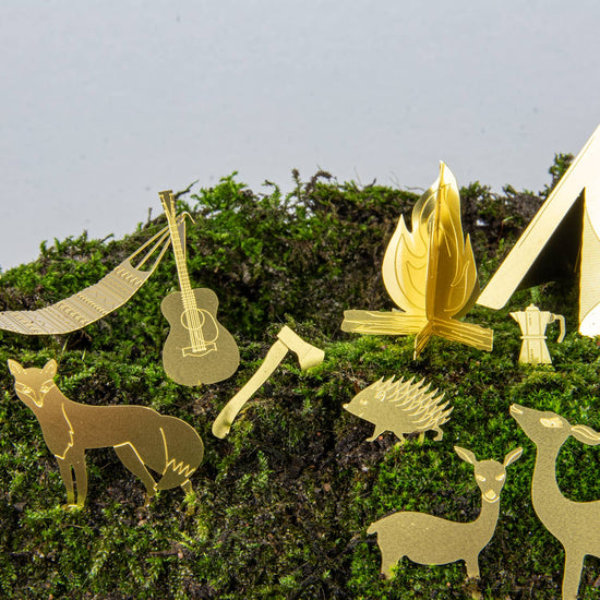 mini-camping-pour-tes-plantes vue 7