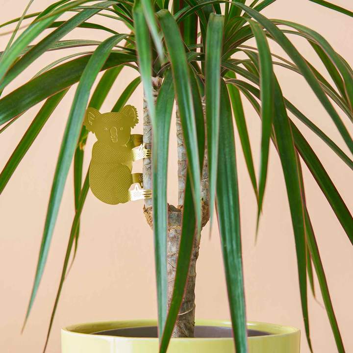 animal-vegetal-ours-koala-decoration-dun-calin-en-forme-de-plante vue 3