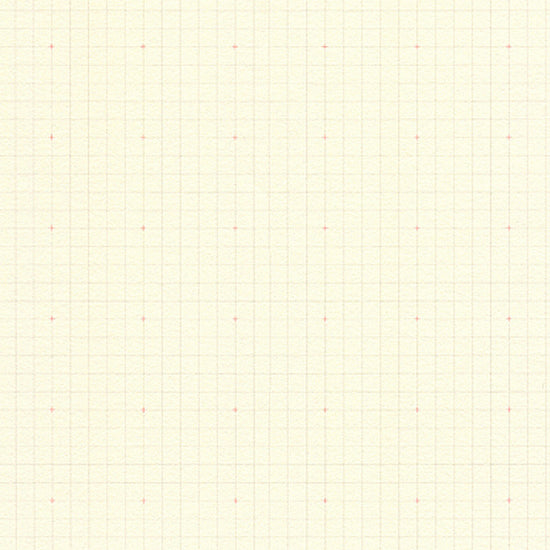 carnet-ro-biki-note-quadrille-ligne-ou-dot vue 14