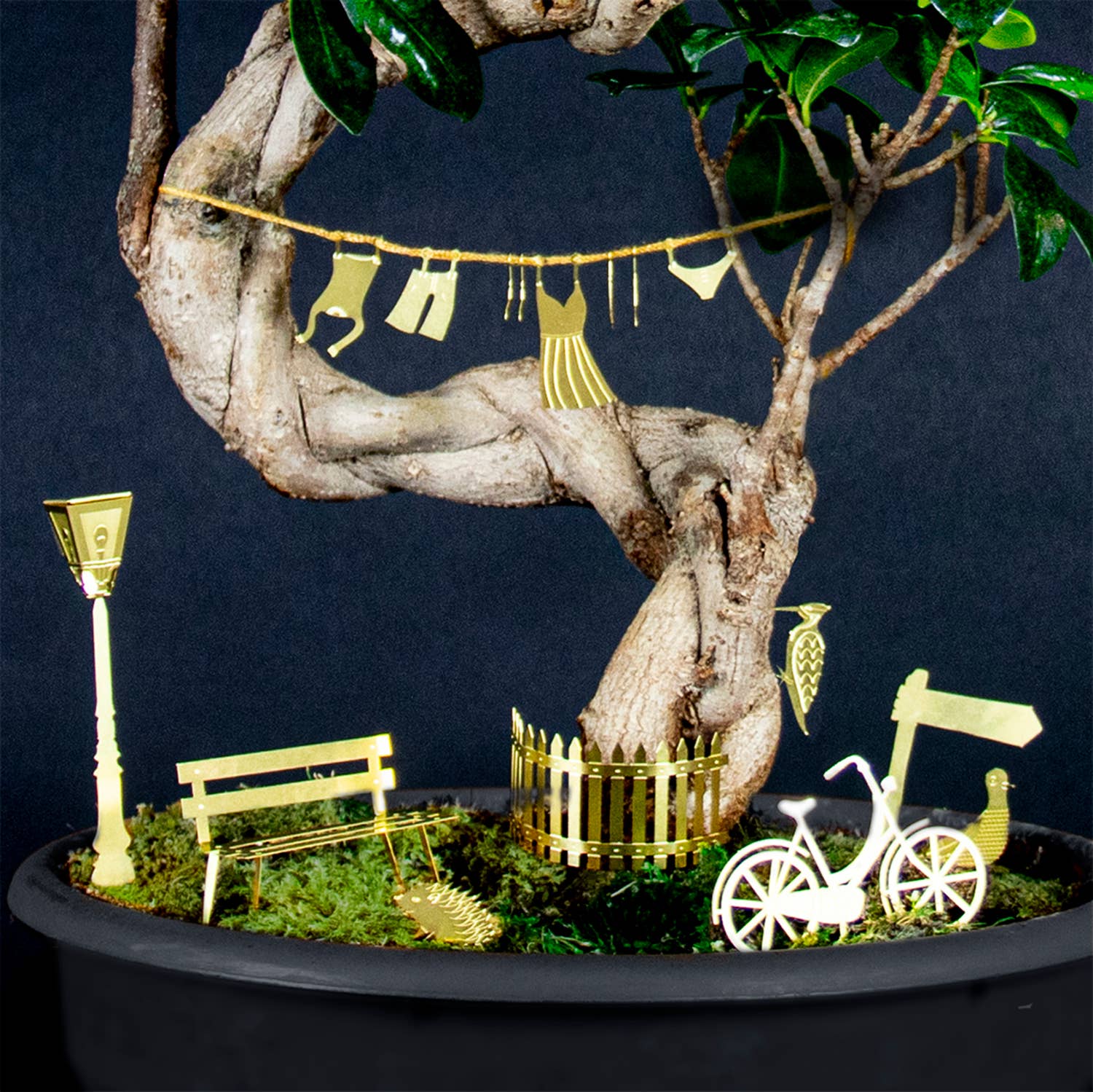 mini-aventure-a-velo-pour-tes-plantes vue 6