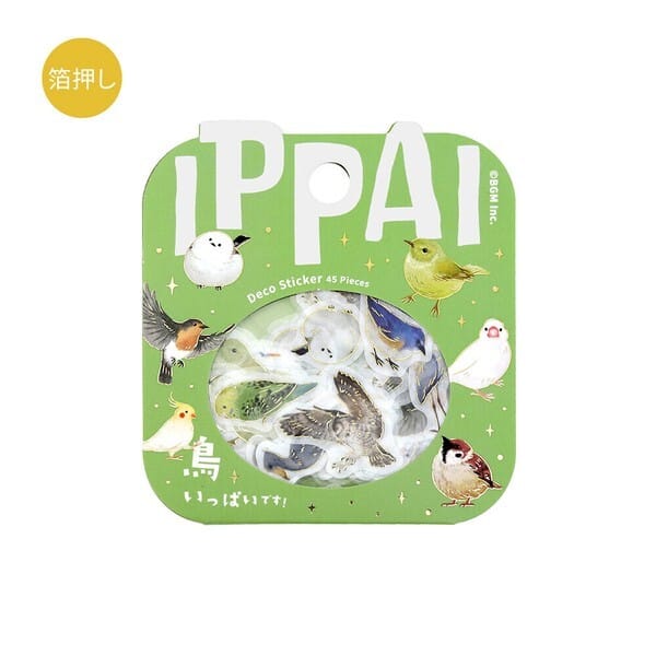 IPPAI BGM oiseaux