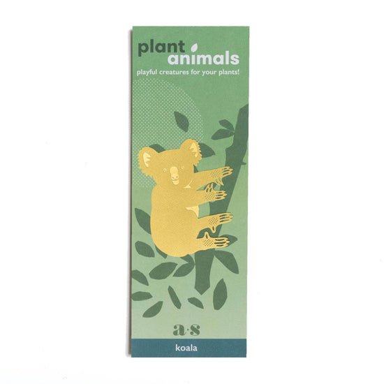 animal-vegetal-ours-koala-decoration-dun-calin-en-forme-de-plante vue 1