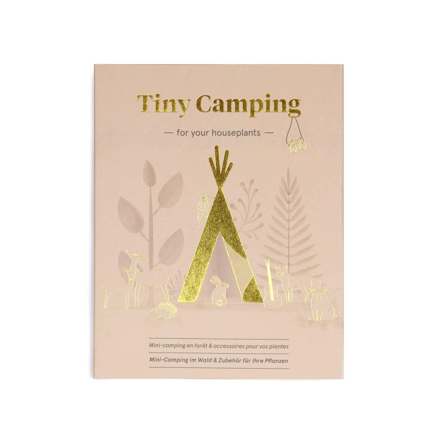 mini-camping-pour-tes-plantes vue 8