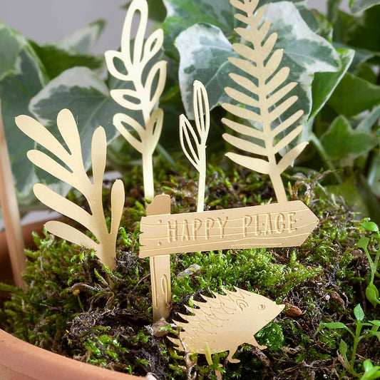 mini-aventure-a-velo-pour-tes-plantes vue 2