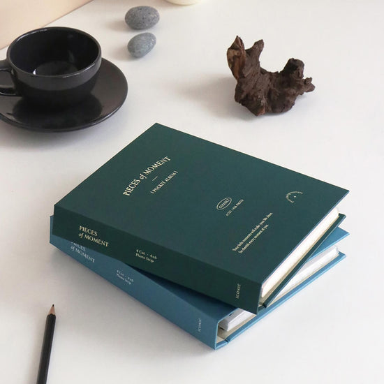 cahier-de-planification-quotidienne-iconic-copie vue 14