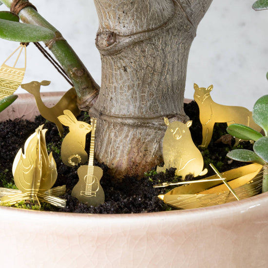 mini-camping-pour-tes-plantes vue 6