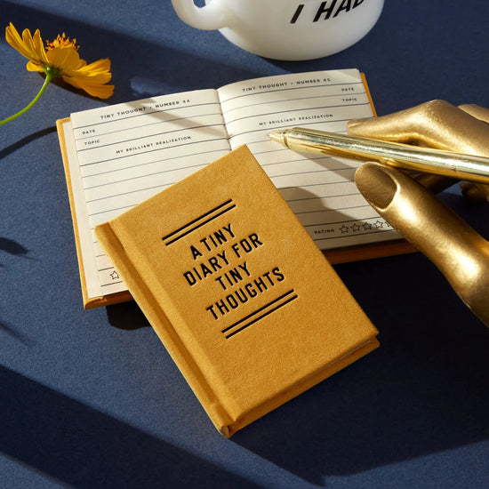 mini-journal vue 10