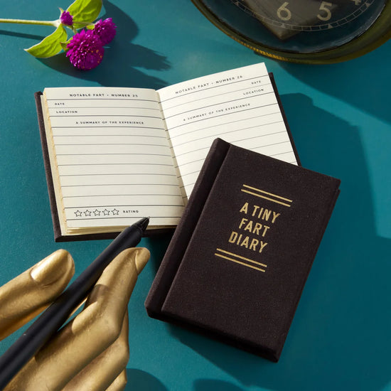 mini-journal vue 12