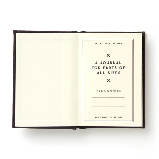 mini-journal vue 11