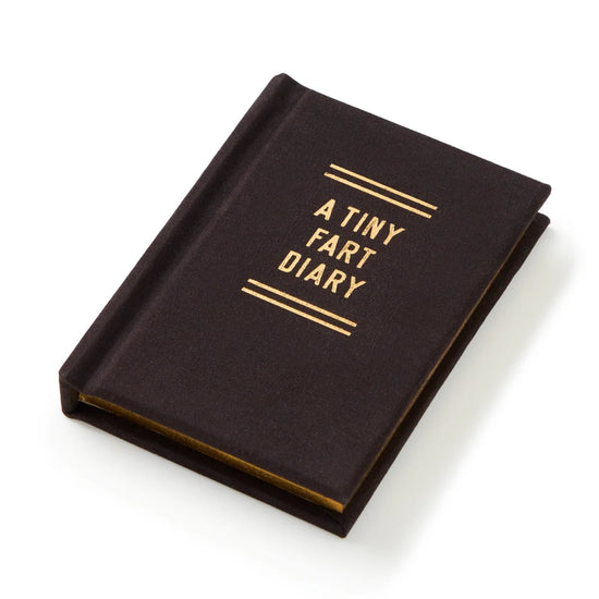 mini-journal vue 9