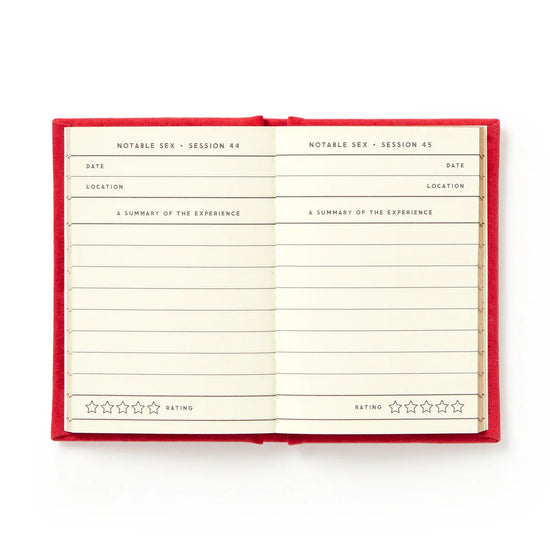 mini-journal vue 15