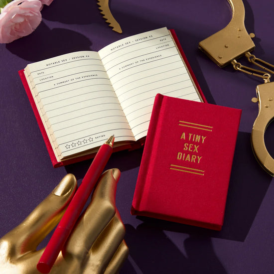 mini-journal vue 16
