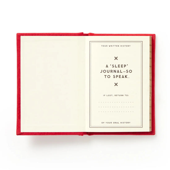 mini-journal vue 14