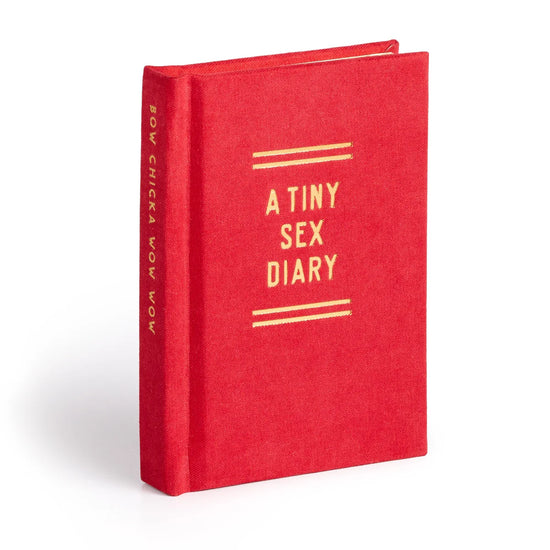 mini-journal vue 13