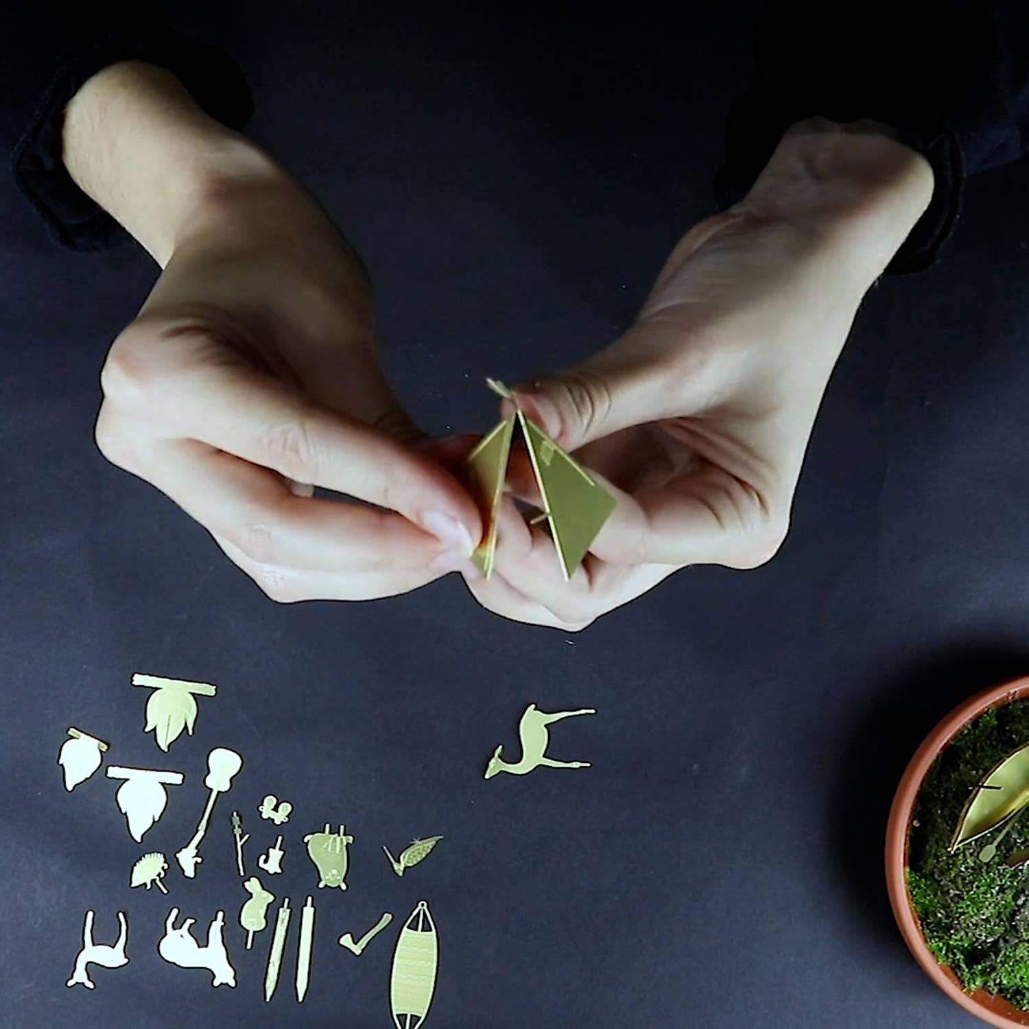 mini-camping-pour-tes-plantes vue 3