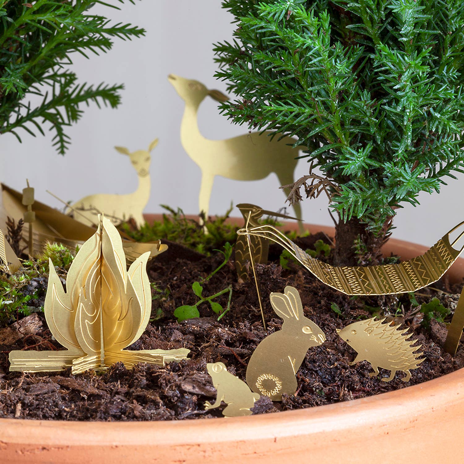 mini-camping-pour-tes-plantes vue 2