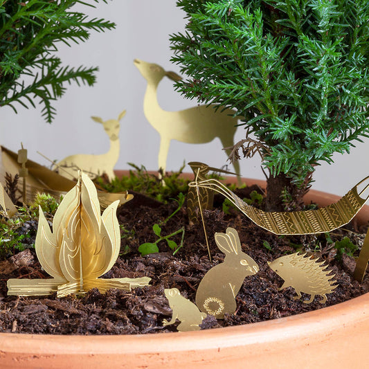 mini-camping-pour-tes-plantes vue 2