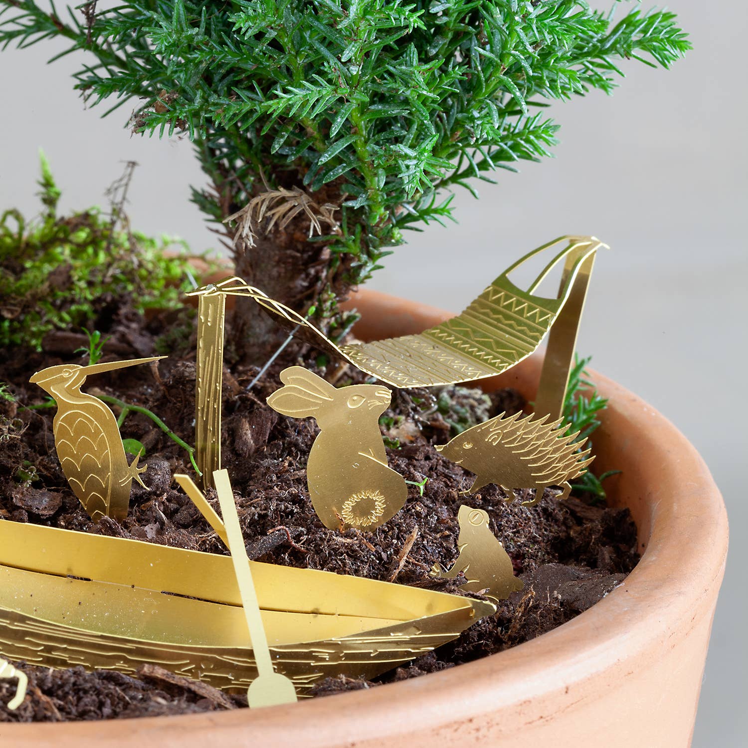 mini-camping-pour-tes-plantes vue 4