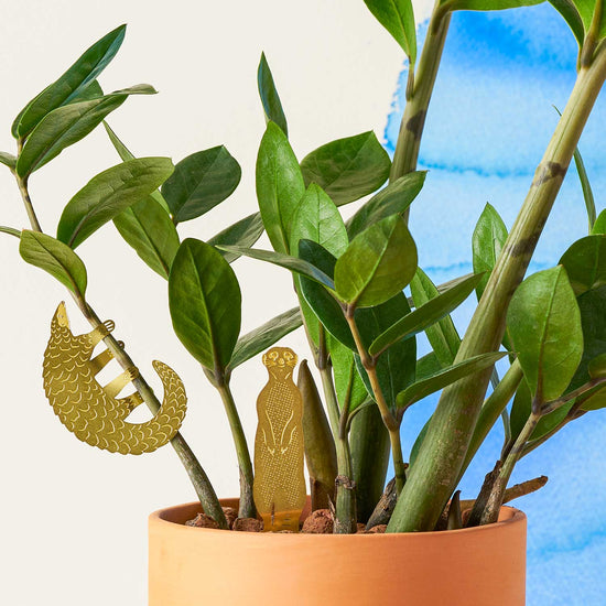 decoration-plant-animal-suricate-terrarium-et-marqueur-vegetal vue 6