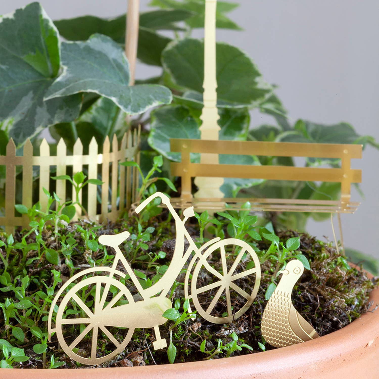 mini-aventure-a-velo-pour-tes-plantes vue 4