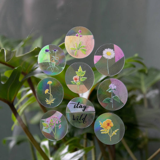 sticker-createur-d-arc-en-ciel-reste-sauvage-8-minis vue 7