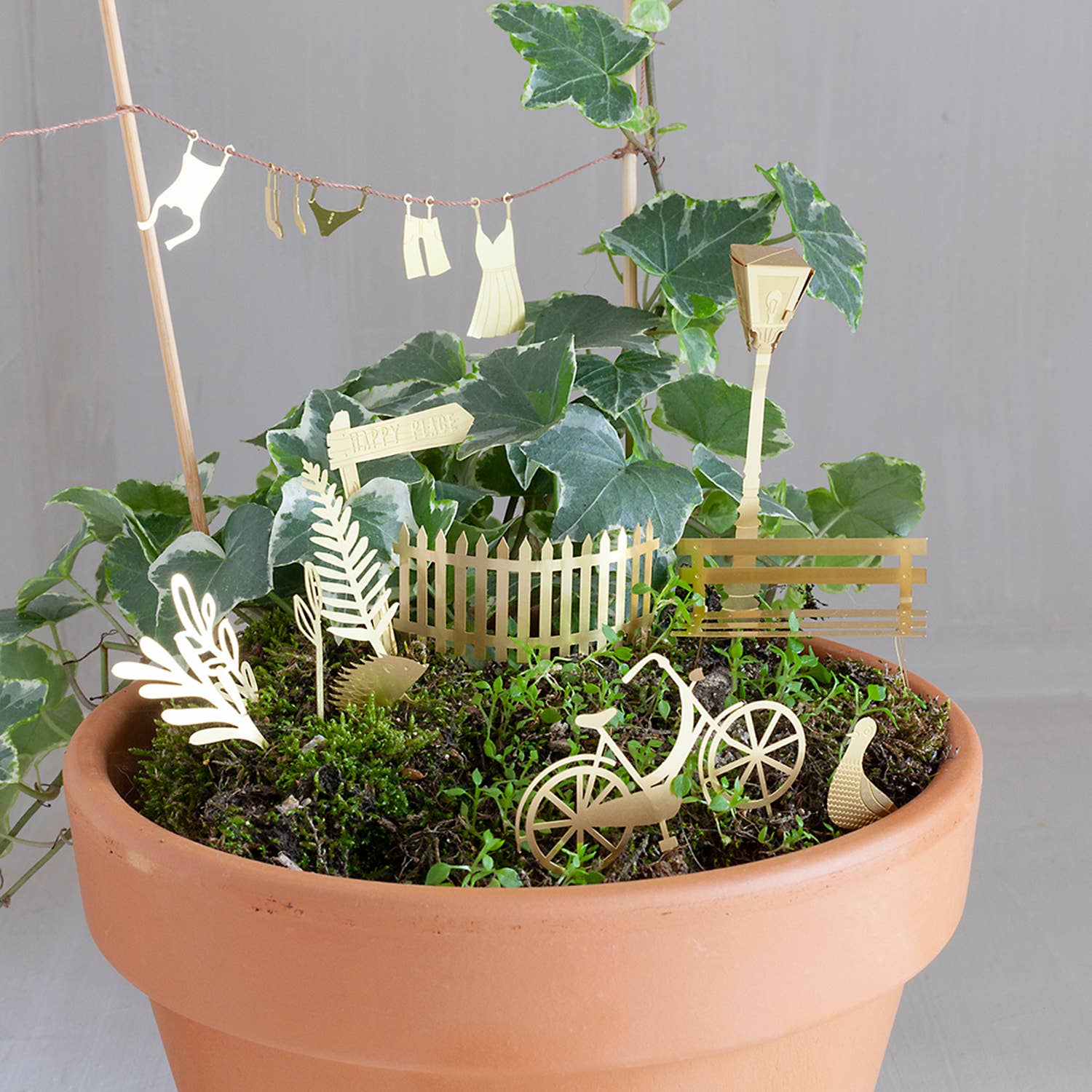 mini-aventure-a-velo-pour-tes-plantes vue 1