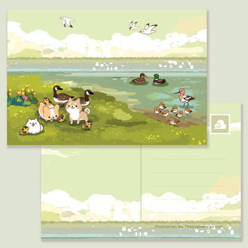 Carte postale Animaux au bord de la mer – Thousand Skies