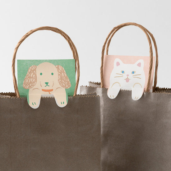 memo-secret-stretchy-chien-raton-laveur vue 9
