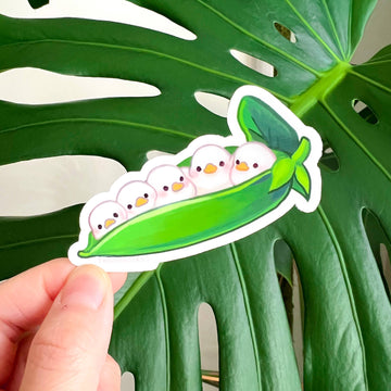 Sticker vinyle Peapod Duckies – Thousand Skies