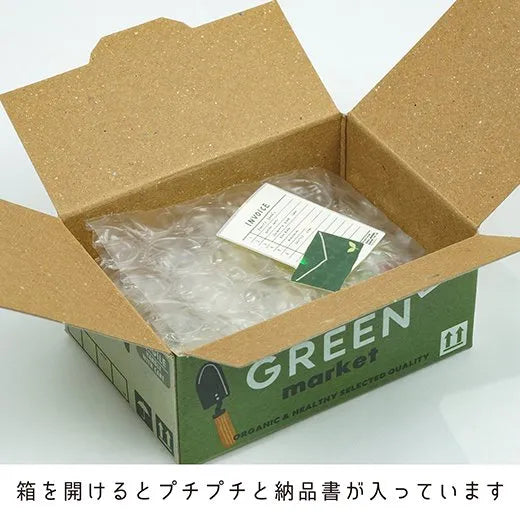 Mini carton stickers - Plantes vertes