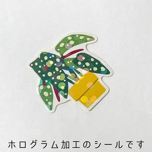 mini-carton-stickers-plantes-vertes vue 5