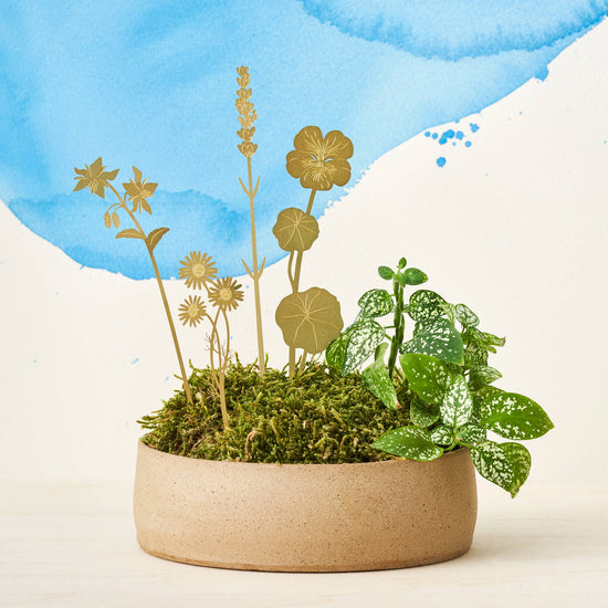herbes-de-laiton-en-fleurs-decor-floral-pot-de-plante-en-metal-pal vue 3