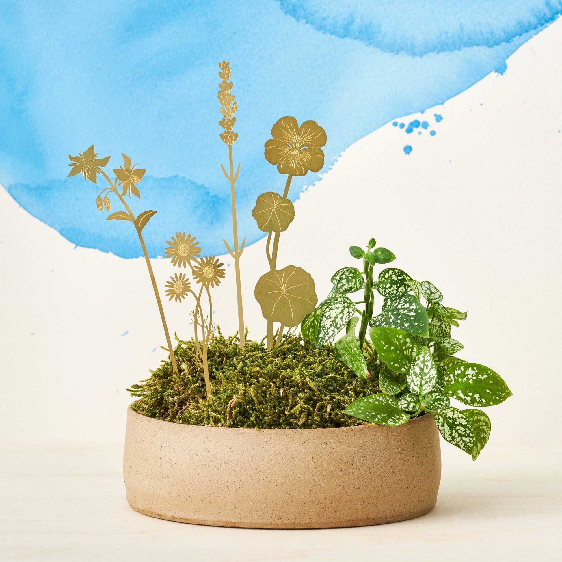 herbes-de-laiton-en-fleurs-decor-floral-pot-de-plante-en-metal-pal vue 3