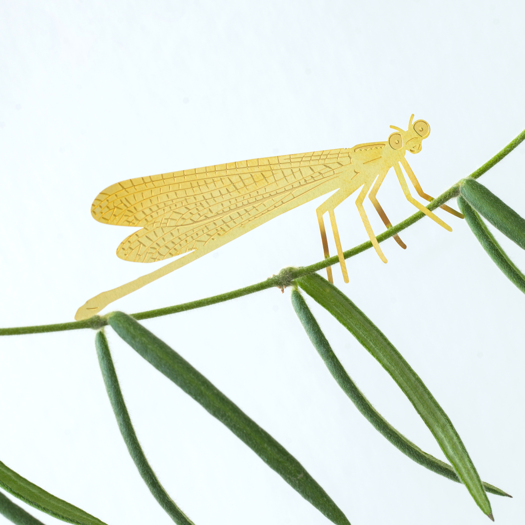 plant-animal-demoiselle-accessoire-pour-insectes vue 3