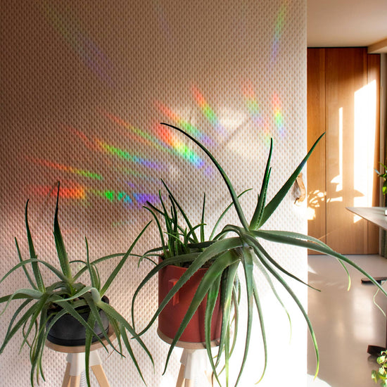 sticker-createur-d-arc-en-ciel-tu-es-aime-e vue 3
