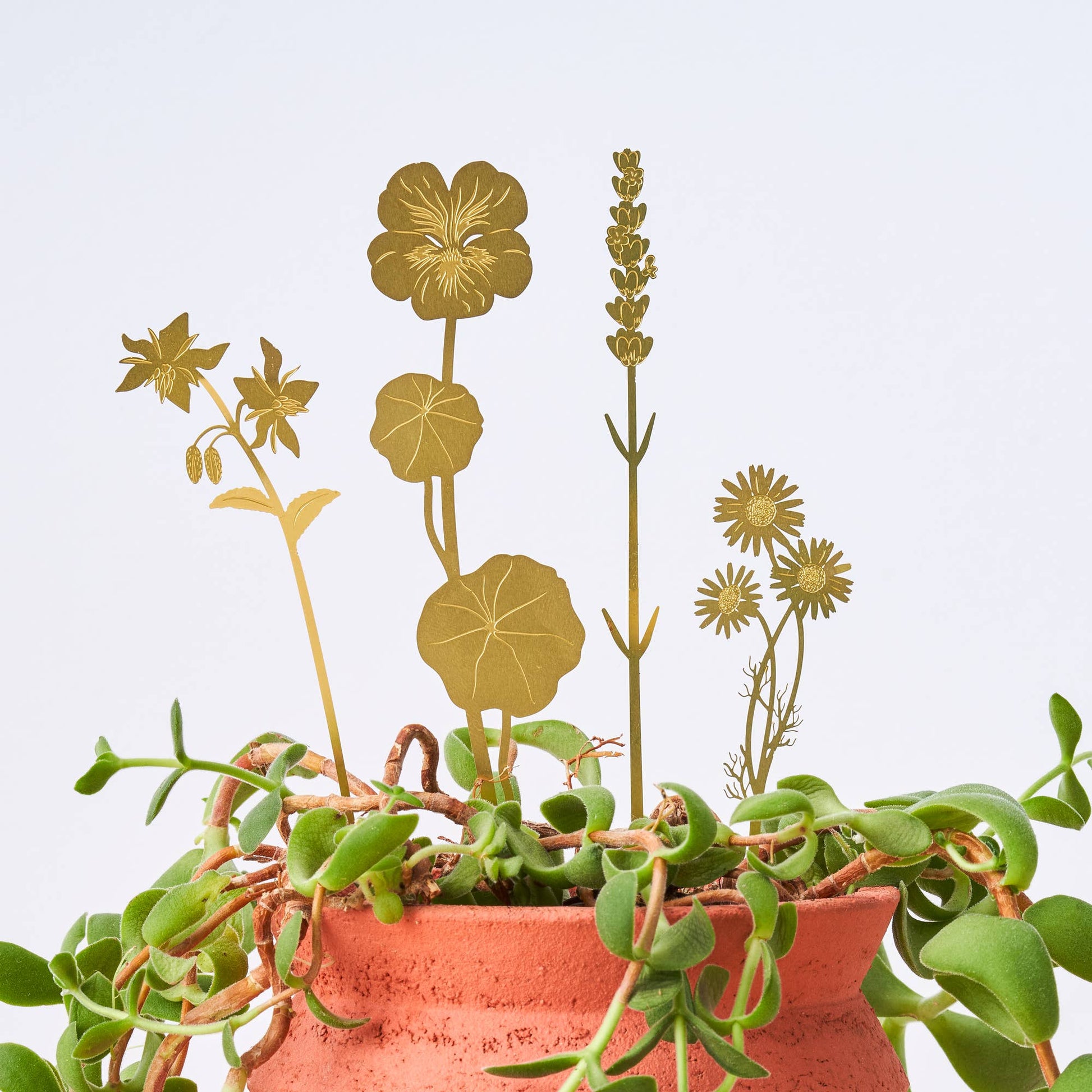 herbes-de-laiton-en-fleurs-decor-floral-pot-de-plante-en-metal-pal vue 1