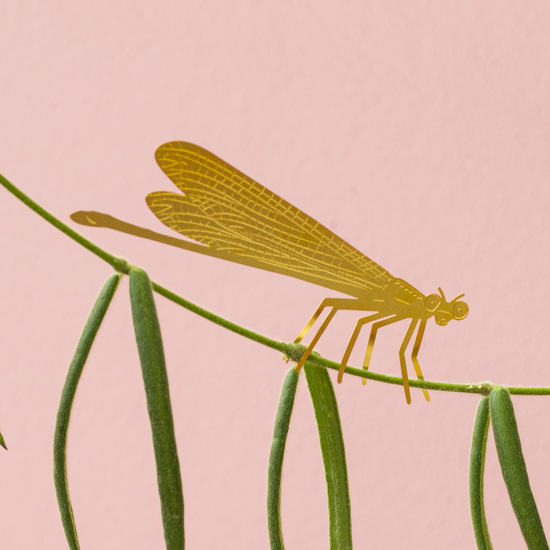 Animal végétal – Accessoire décoratif pour plantes