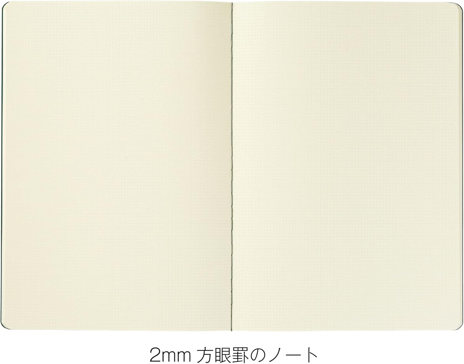 carnet-a5-a-grille-2-mm-papier-ok-fools-kleid vue 4