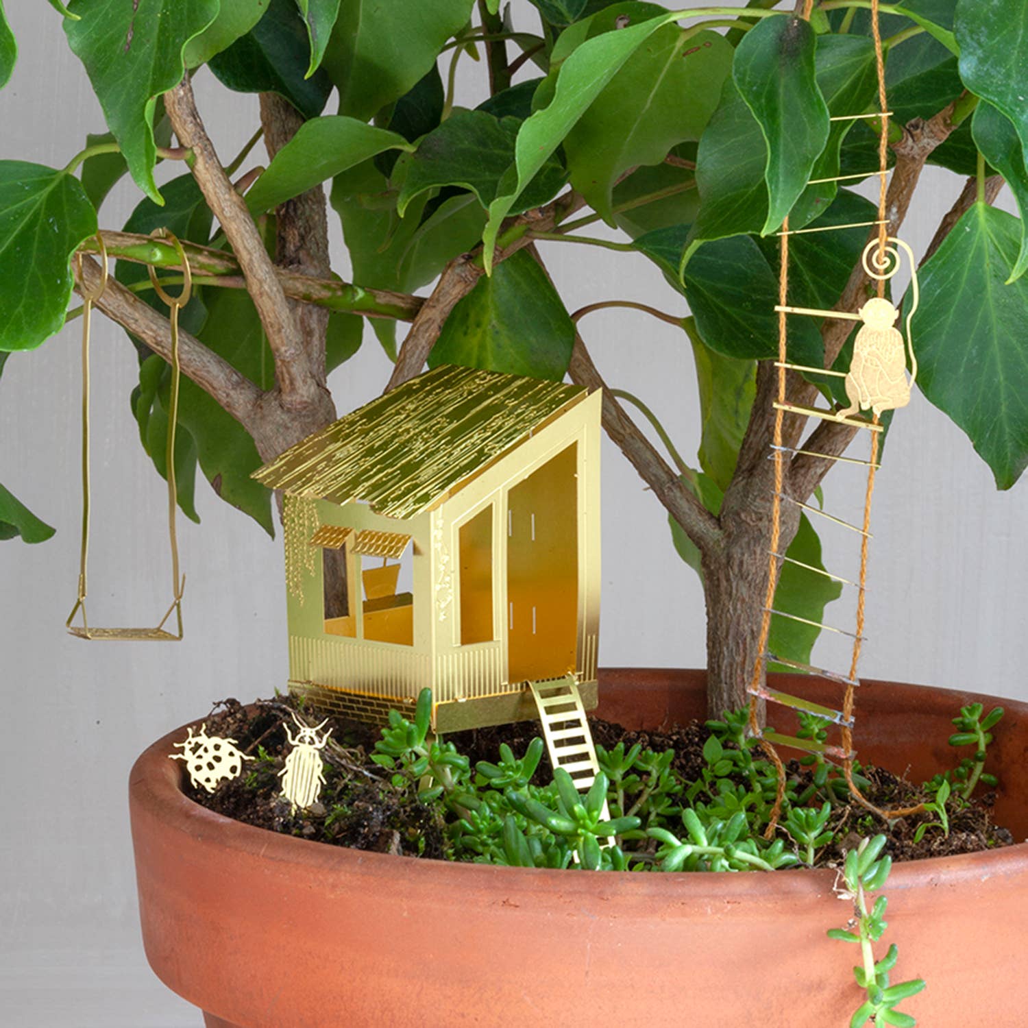 mini-cabane-pour-plantes vue 1