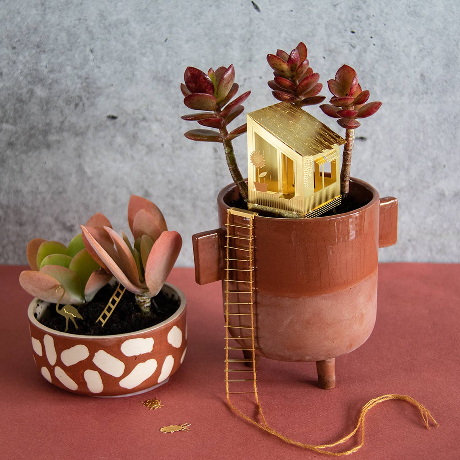 mini-cabane-pour-plantes vue 8