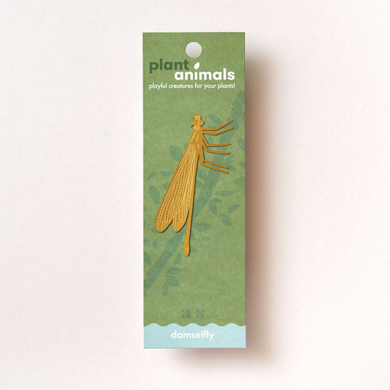 plant-animal-demoiselle-accessoire-pour-insectes vue 1