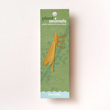 plant-animal-demoiselle-accessoire-pour-insectes vue 1
