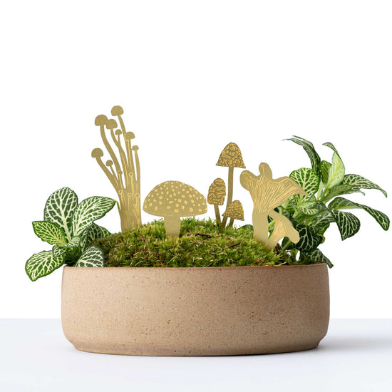 mini-champignons-en-laiton-decoration-de-pot-de-plante-et-terrarium vue 3
