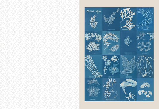 Livre de découpe et collage – The Collage Compendium | Roomytown