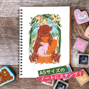 Set de tampons transparents multicouches Ours – Design japonais – Kit complet
